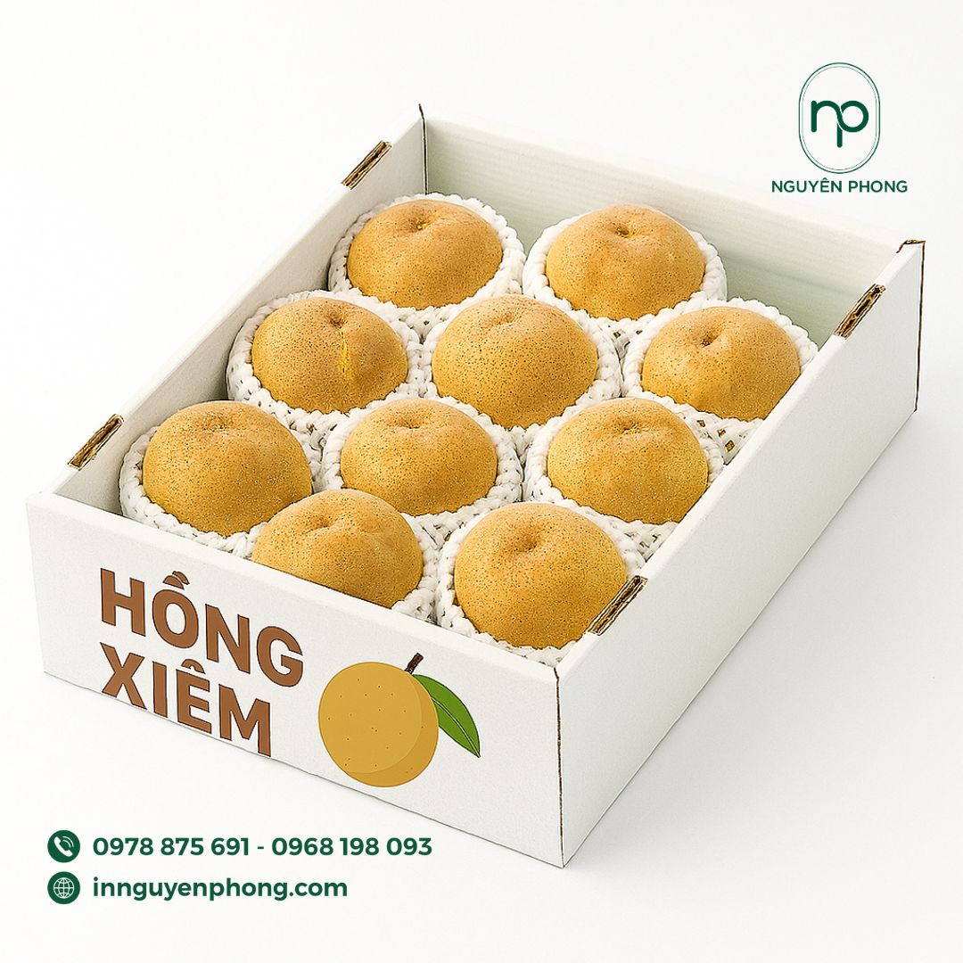 Mẫu thùng carton đựng hồng xiêm 
